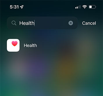 iPhone Health App
