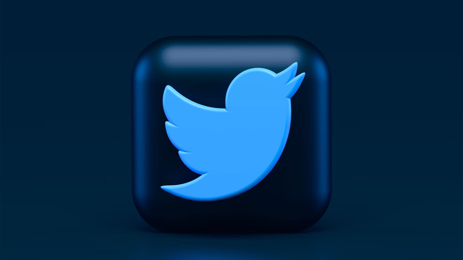 Download Twitter Video Logo