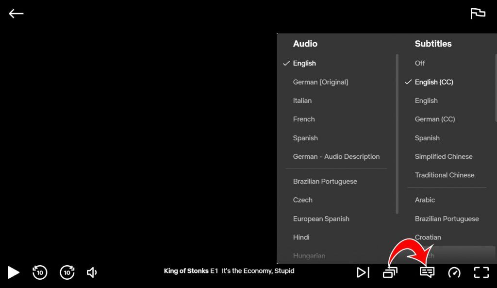 How to Change the Audio Language on a Netflix Show or Movie