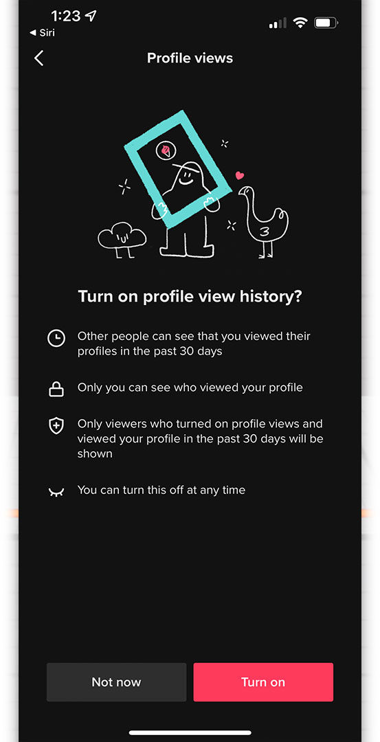 How to See Who Viewed Your TikTok Profile Techozu
