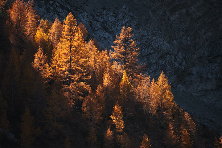 Fall Zoom Background Mountains