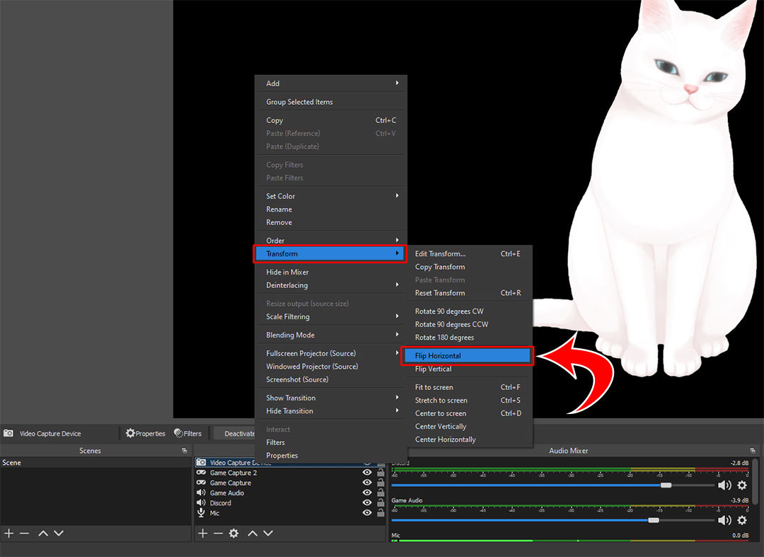 how-to-flip-camera-in-obs-techozu
