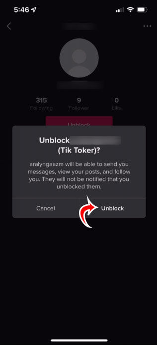 Unblocking a TikTok Account from their Profile Page