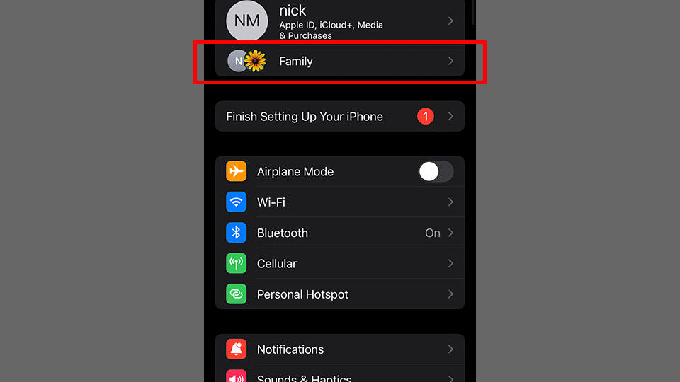 How to Unshare Individual Subscriptions with Family on iPhone