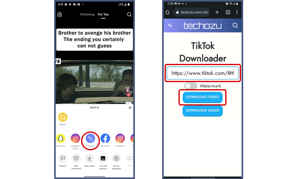TikTok Download Video