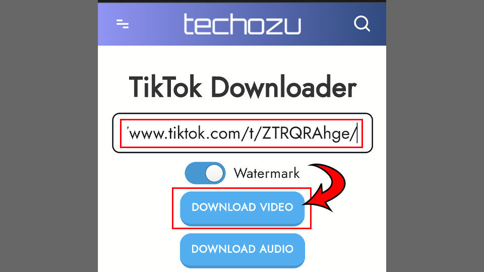 How to Download TikTok Videos without a Watermark