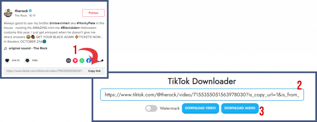 Techozu TikTok Downloader Instructions