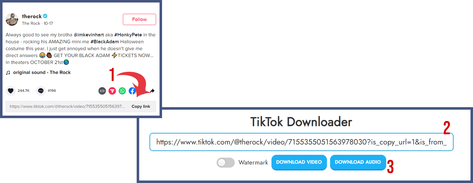 TikTok Downloader Techozu